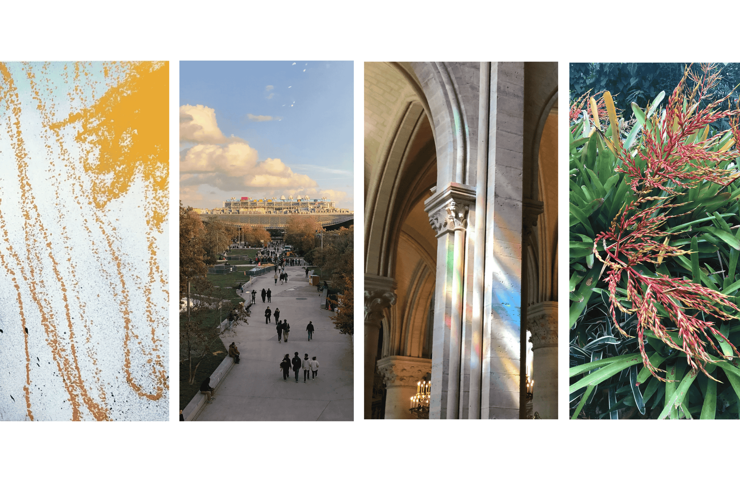 Header photo - polyptych 1 .png