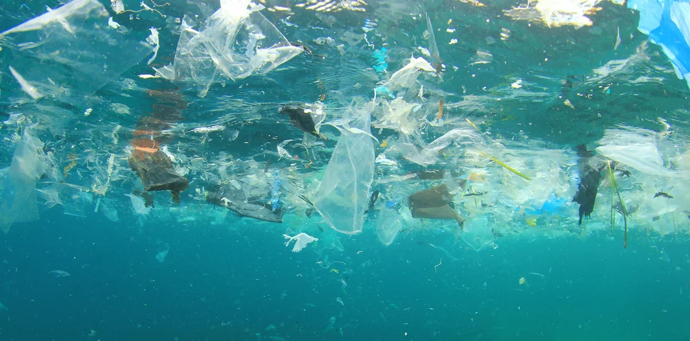 Plastic-Ocean.jpg