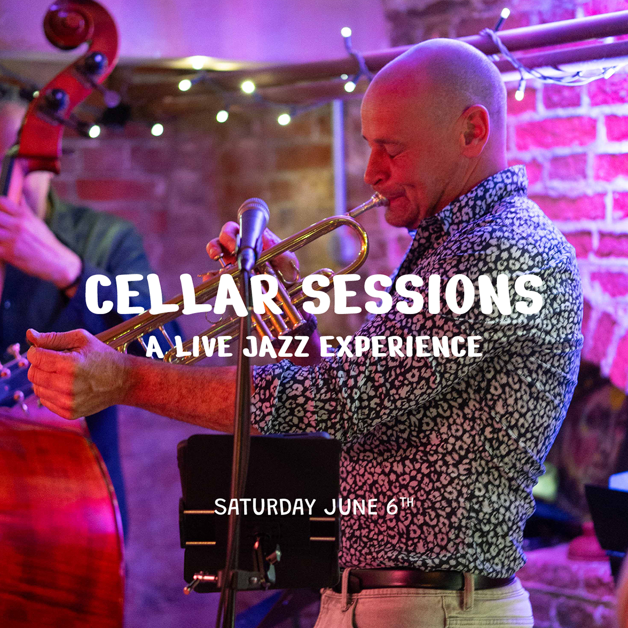 Cellar Sessions at The Dial House - Jazz