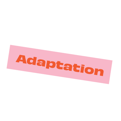 adaptation.png