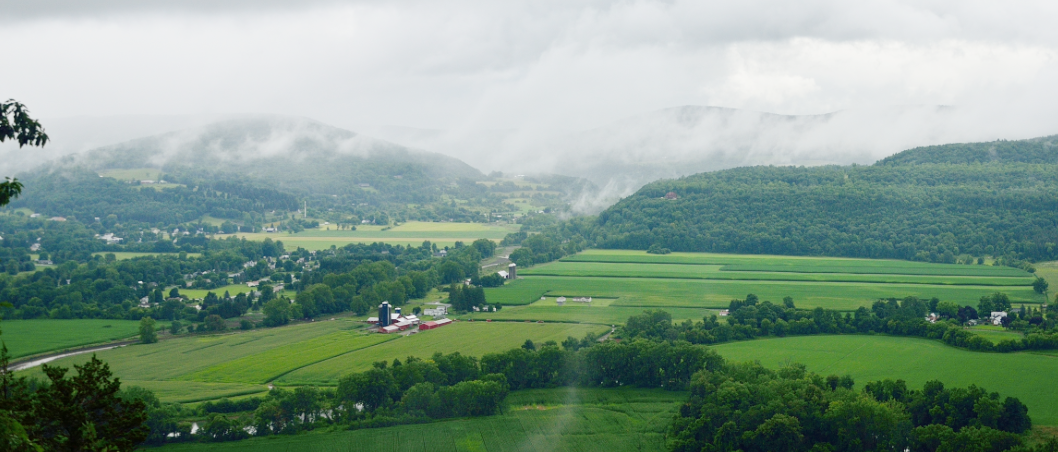 Screen Shot 2018-03-30 at 11.36.34 AM.png