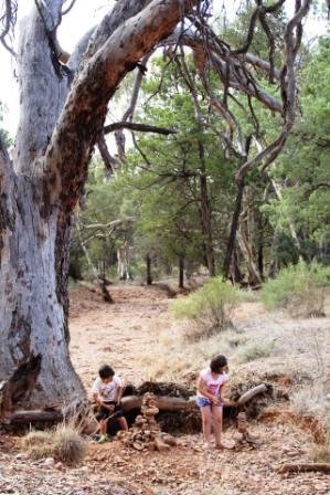 5 Horseshoe Top-End kids and nature.jpg