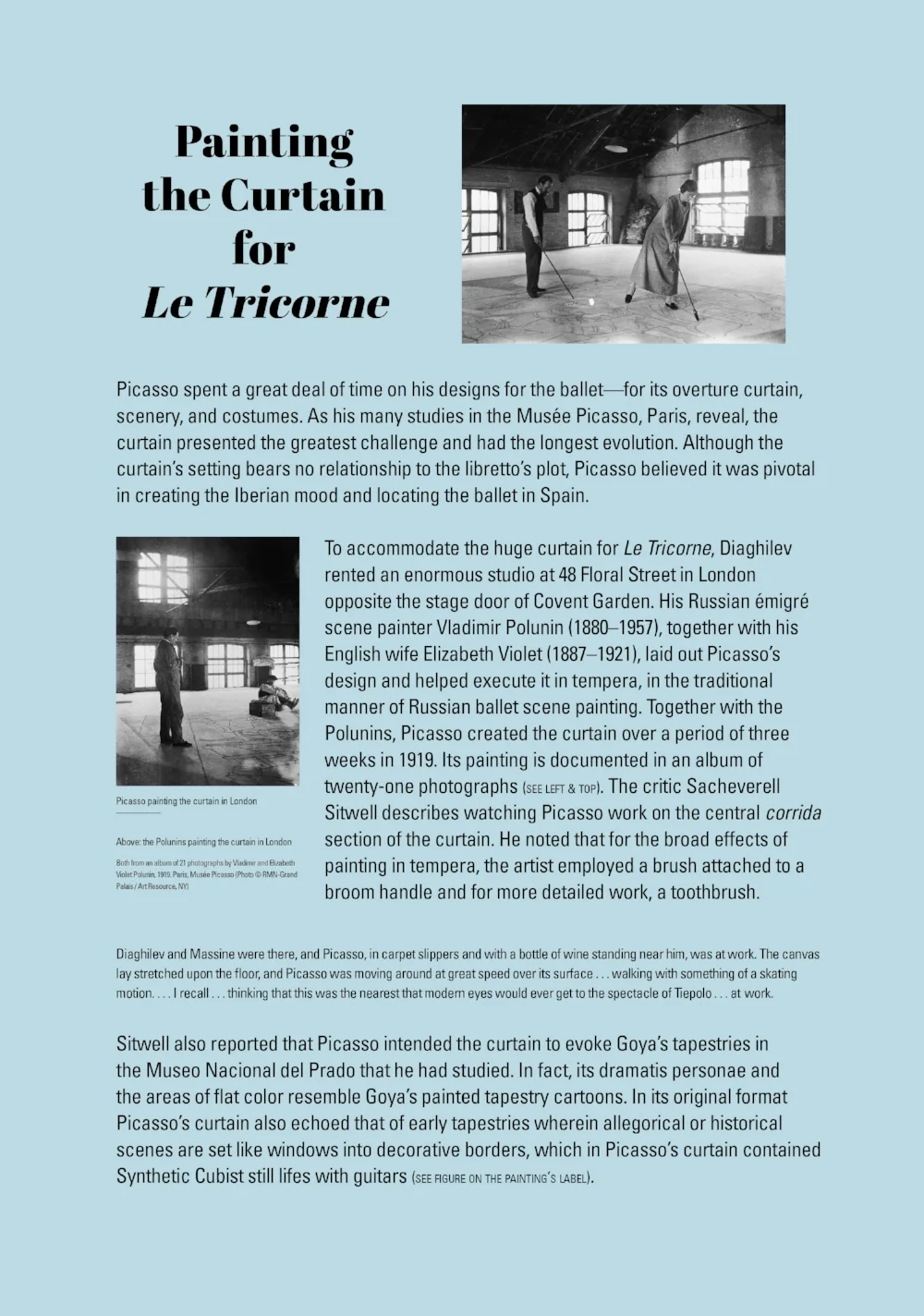 Picasso_section text panels_FIN3.jpg