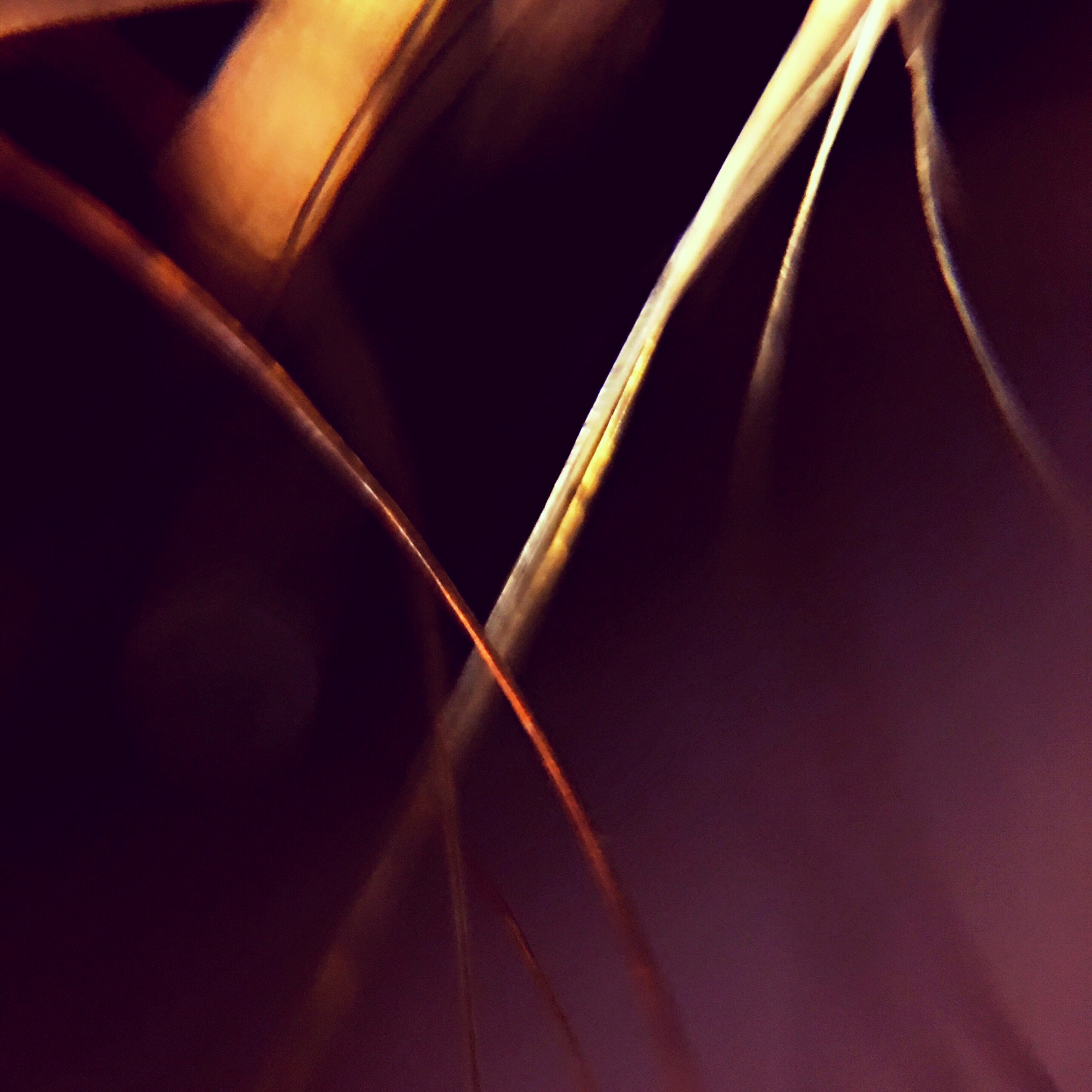 AC1F76FB-4122-4AB1-B8BF-B4C40FF14948.jpeg