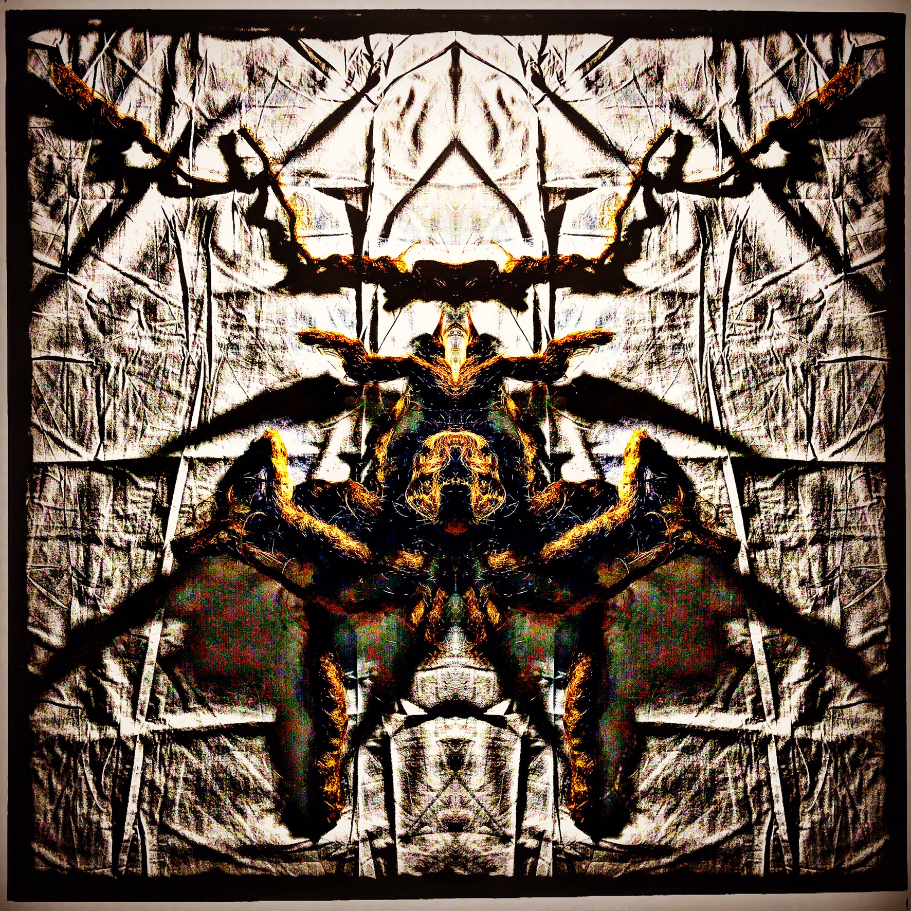 23D0794A-AF9A-43F8-8101-830A34C8072A.jpeg