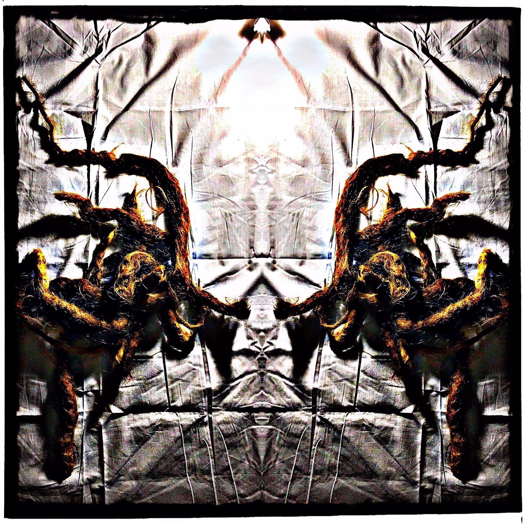 0D4F314A-6E38-4ADC-A351-46EB6CDAA808.jpeg