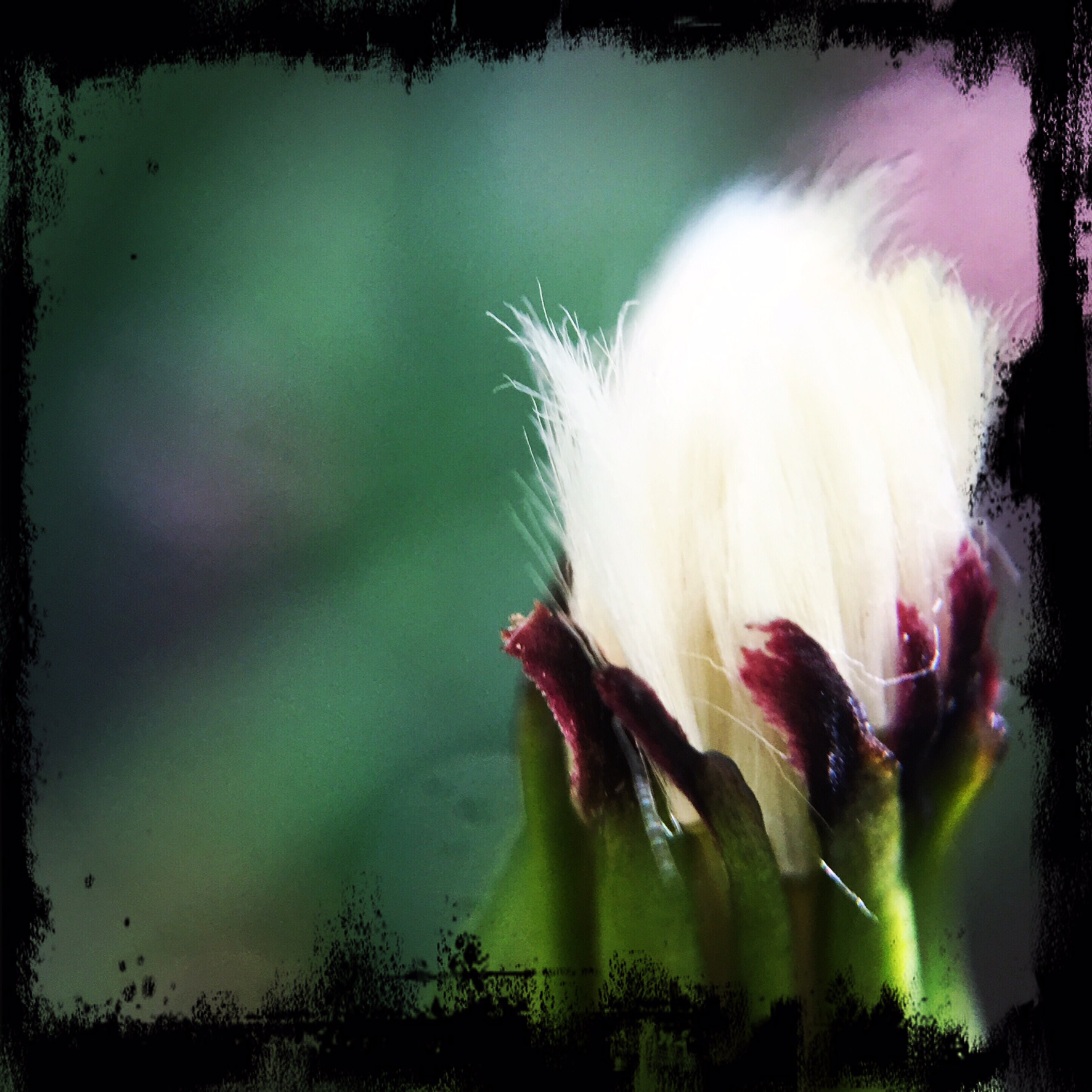 20F59EB2-8C93-4A16-B432-B17ACA702245.jpeg