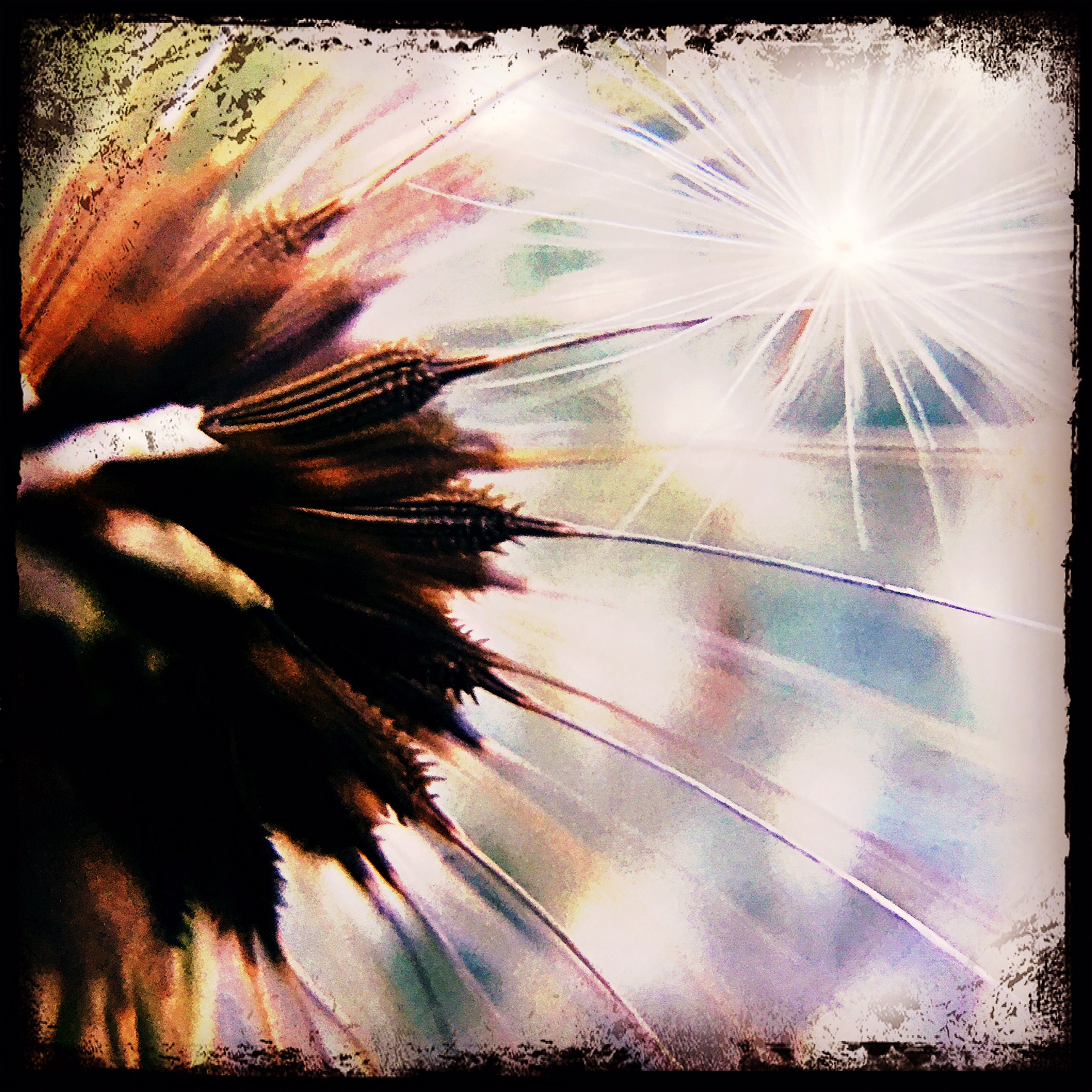 36425CC9-DBC1-49AB-8FFF-BEE758BA93C7.jpeg