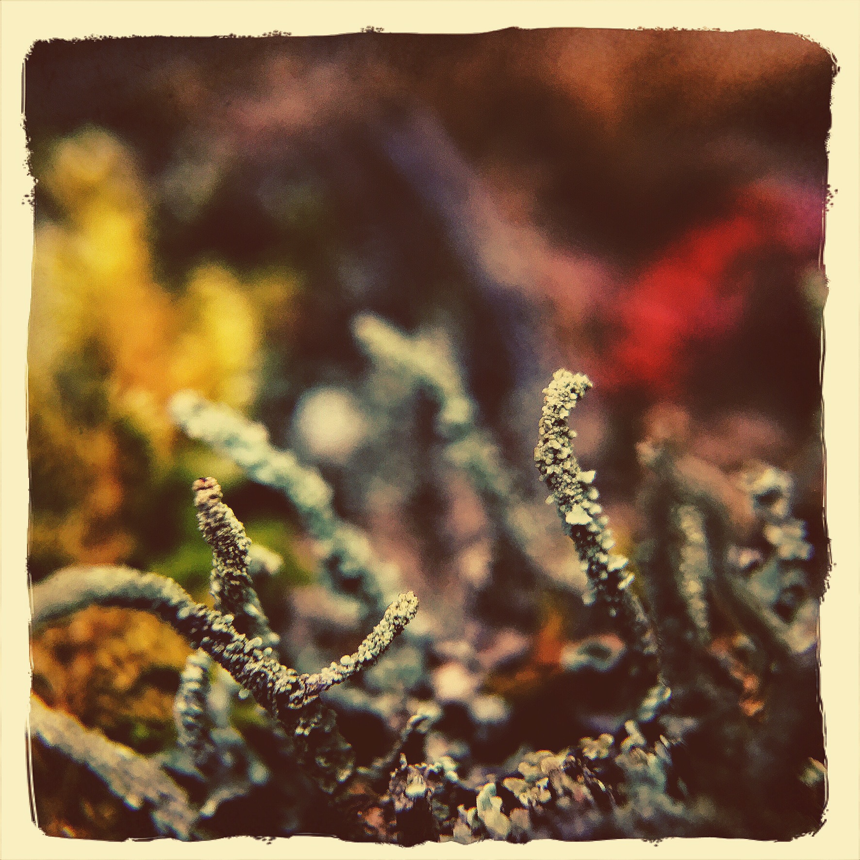 5374F38A-2148-4C6A-9560-A4F74AEB334B.jpeg