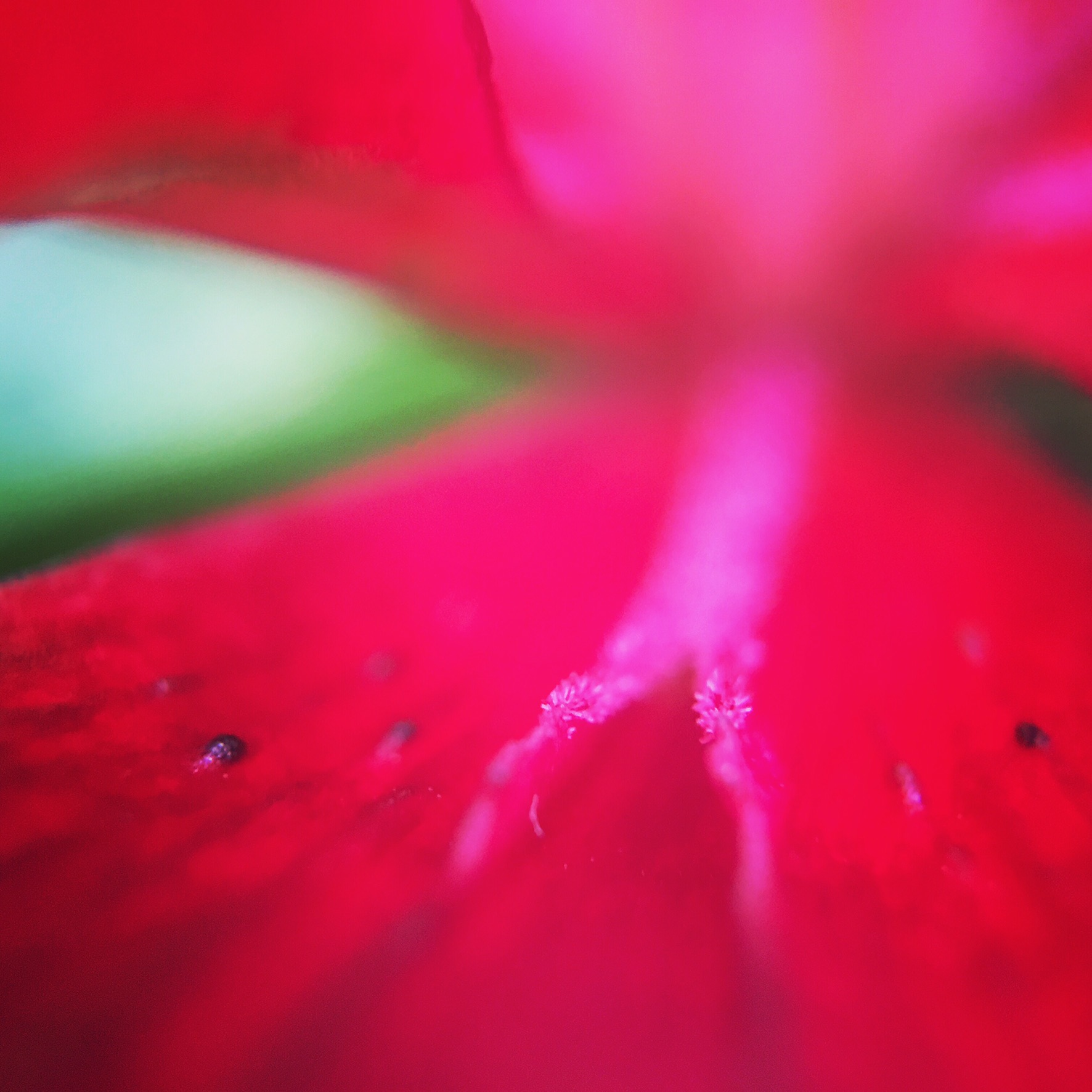 8902E1BA-8D63-49C2-87E3-07F0D8EC0E6A.jpeg
