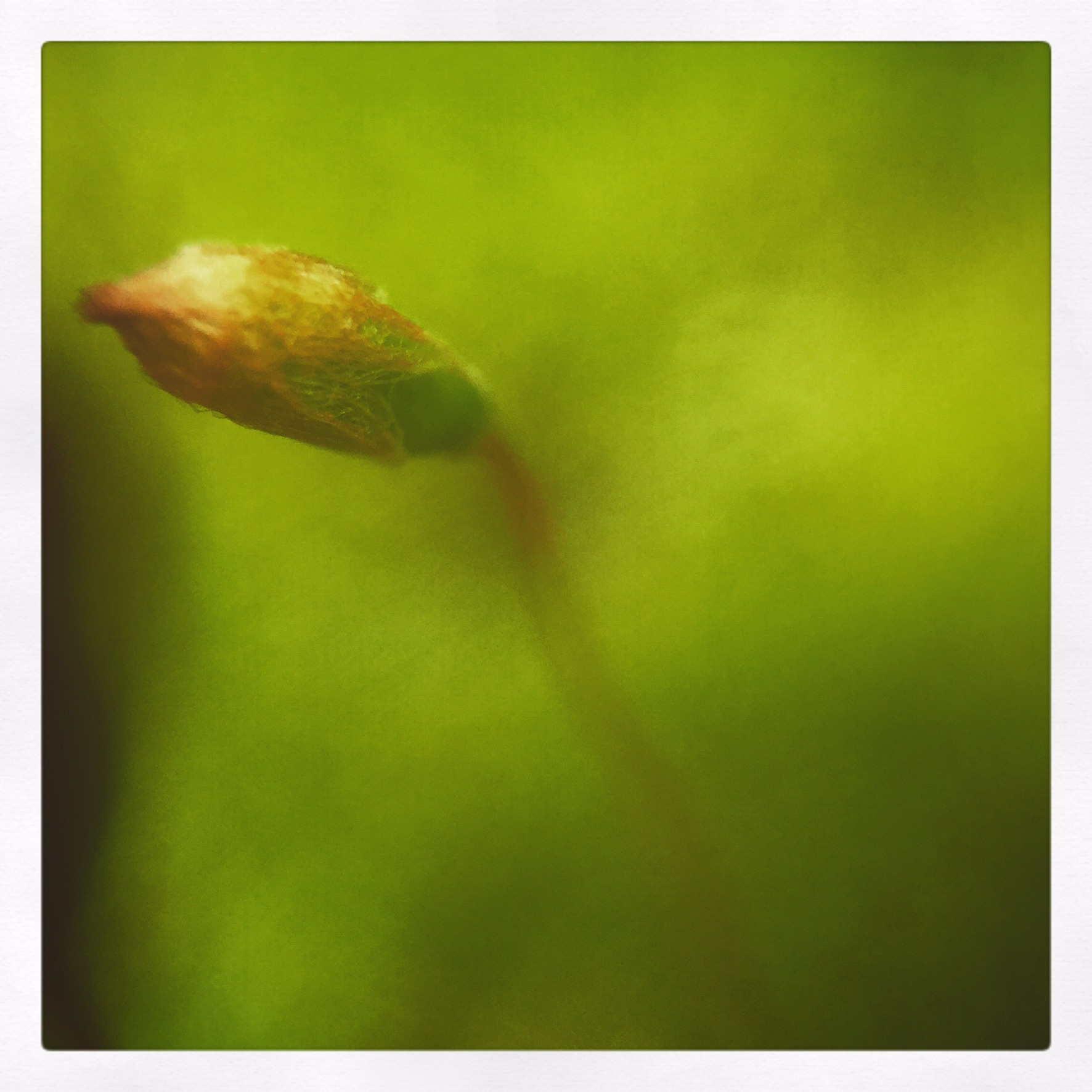 B4CC6174-78C9-422F-895C-73ACE3E0C458.jpeg