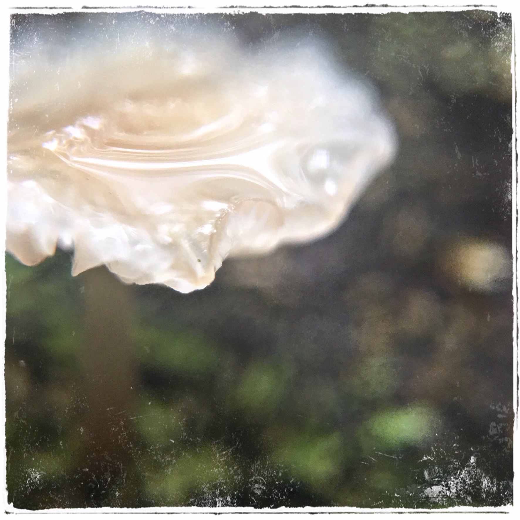 74164C3C-B9B5-47AB-9263-80687BC16CE0.jpeg
