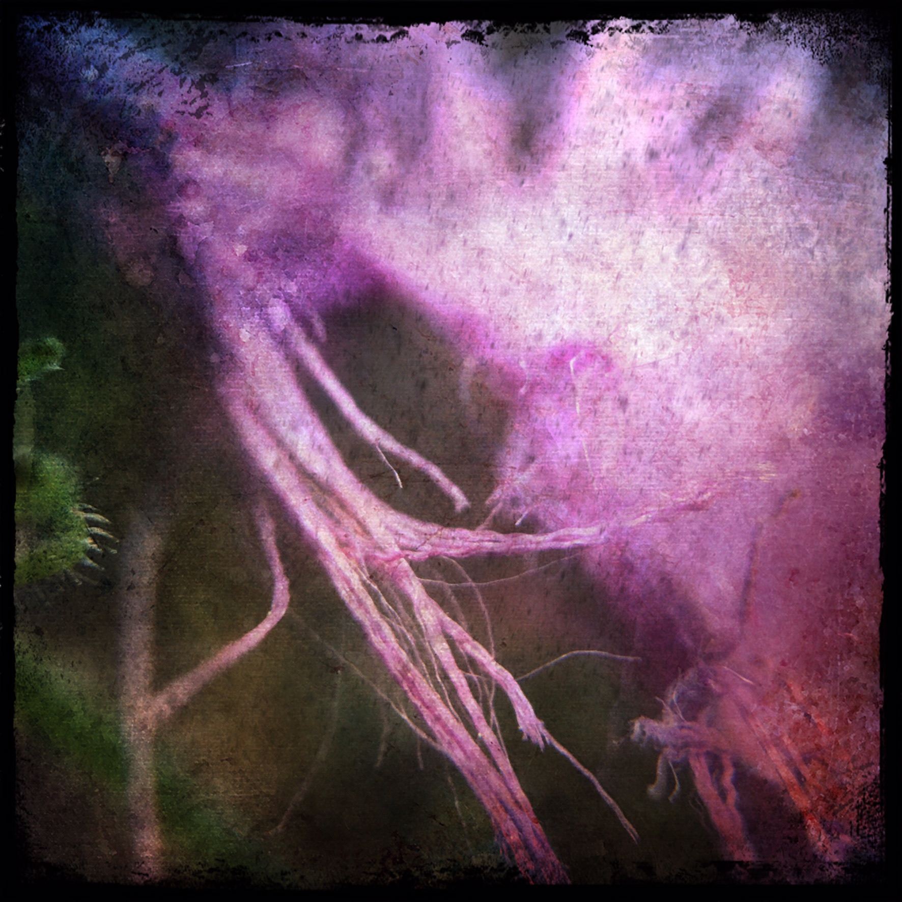 Frayed fuschia fabric hiding in springtime grass