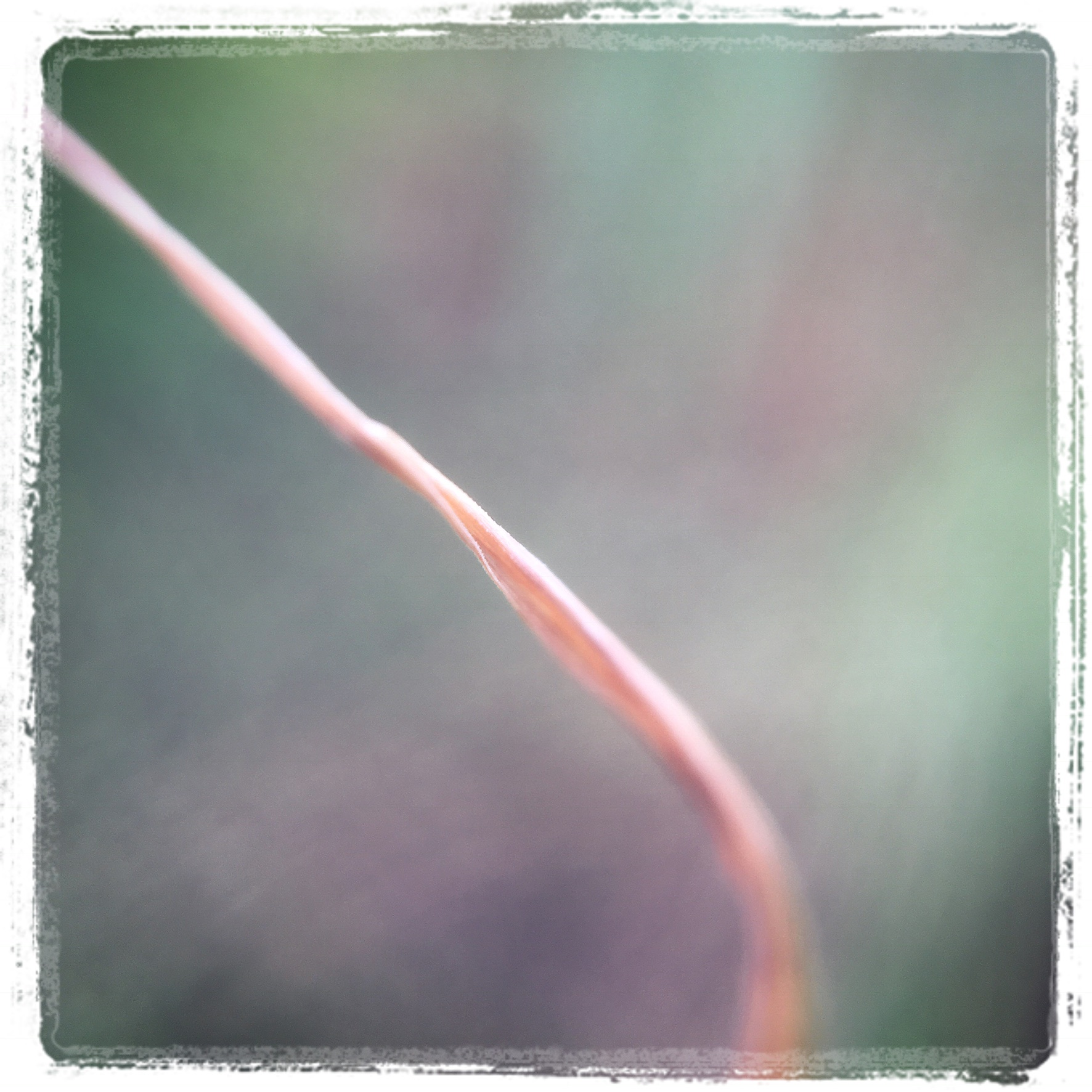 66F23D67-CF71-40B0-8A59-C510100C472E.jpeg