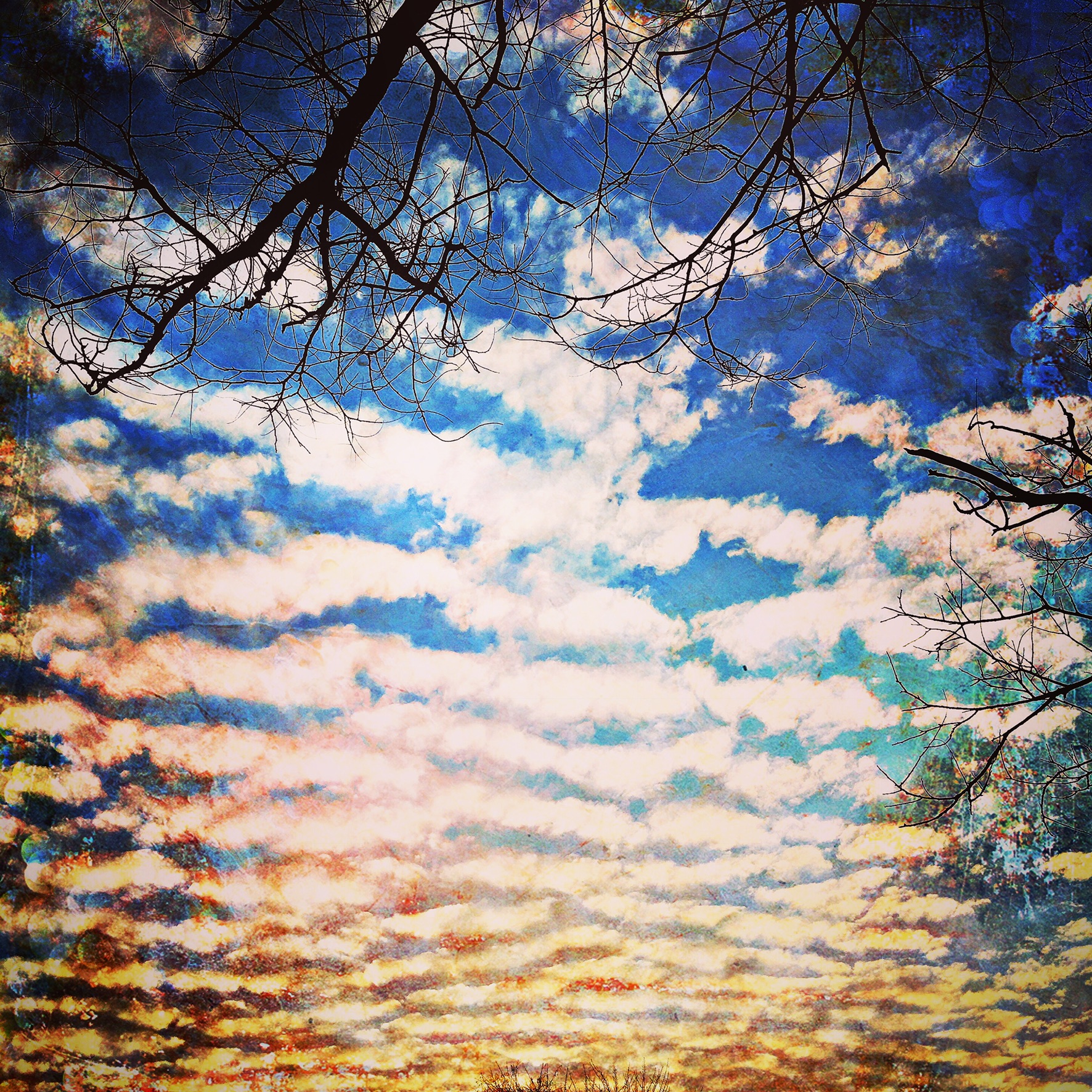 8A82EE3B-671F-470F-BC59-66741A4715D8.jpeg