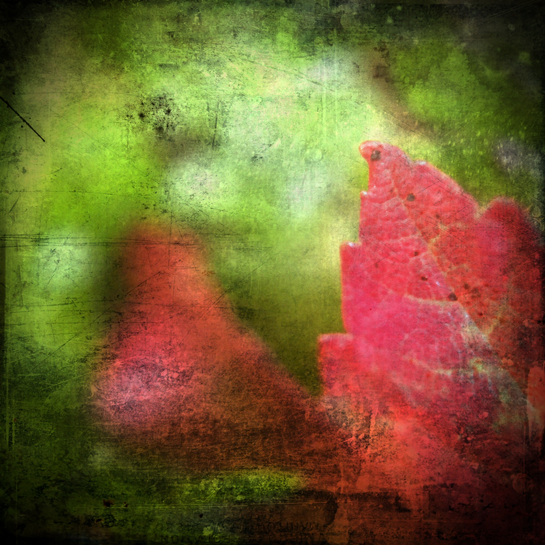 A0D17142-F146-446A-980B-DA707758E11A.jpeg