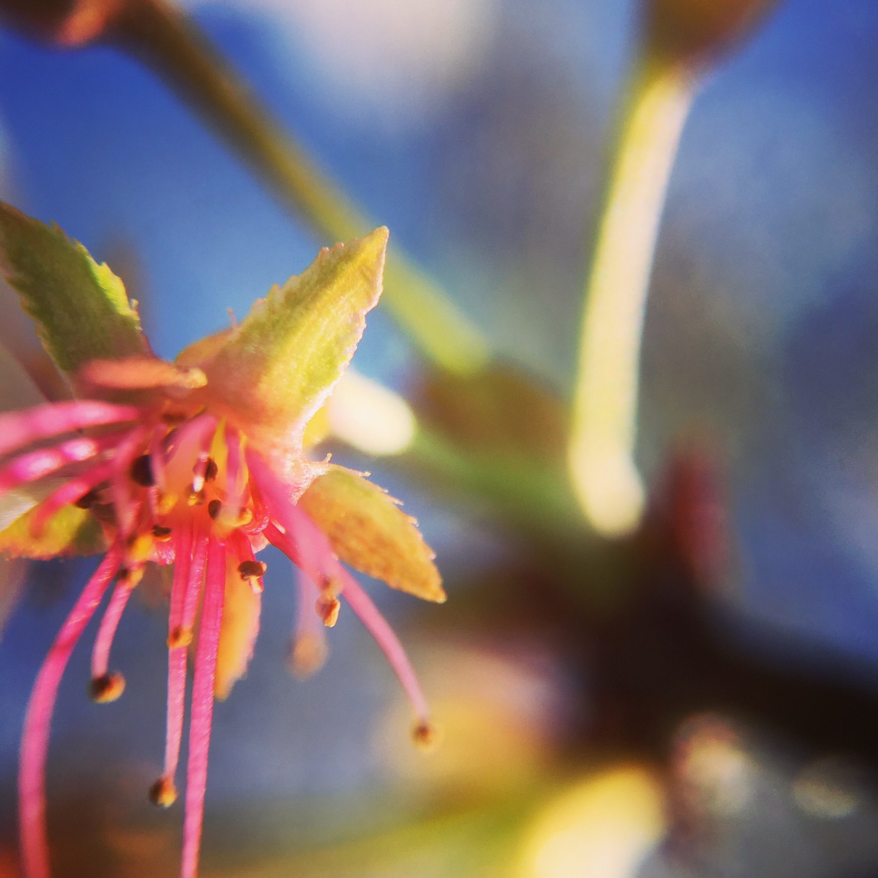 1D7511C4-005D-4472-9C3A-95A517304CD7.jpeg