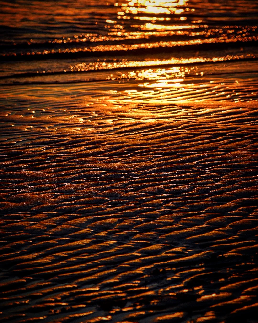 A518E5DF-217B-4134-BD15-5058C5201059.jpeg