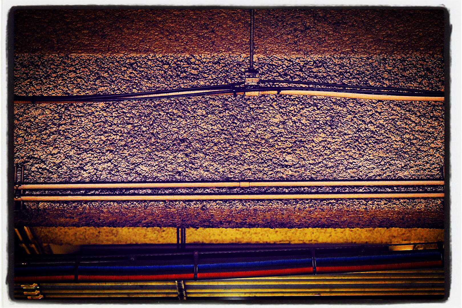 91BCC56E-2D4A-4B80-913B-44189D69F8CC.jpeg