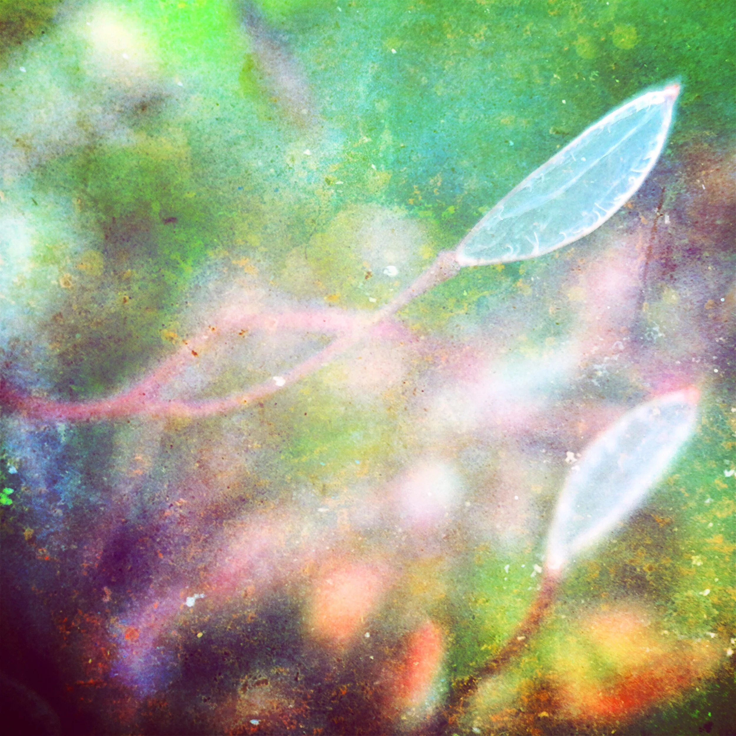 E105A12F-3754-48F3-967A-6DA91DFA130B.jpeg