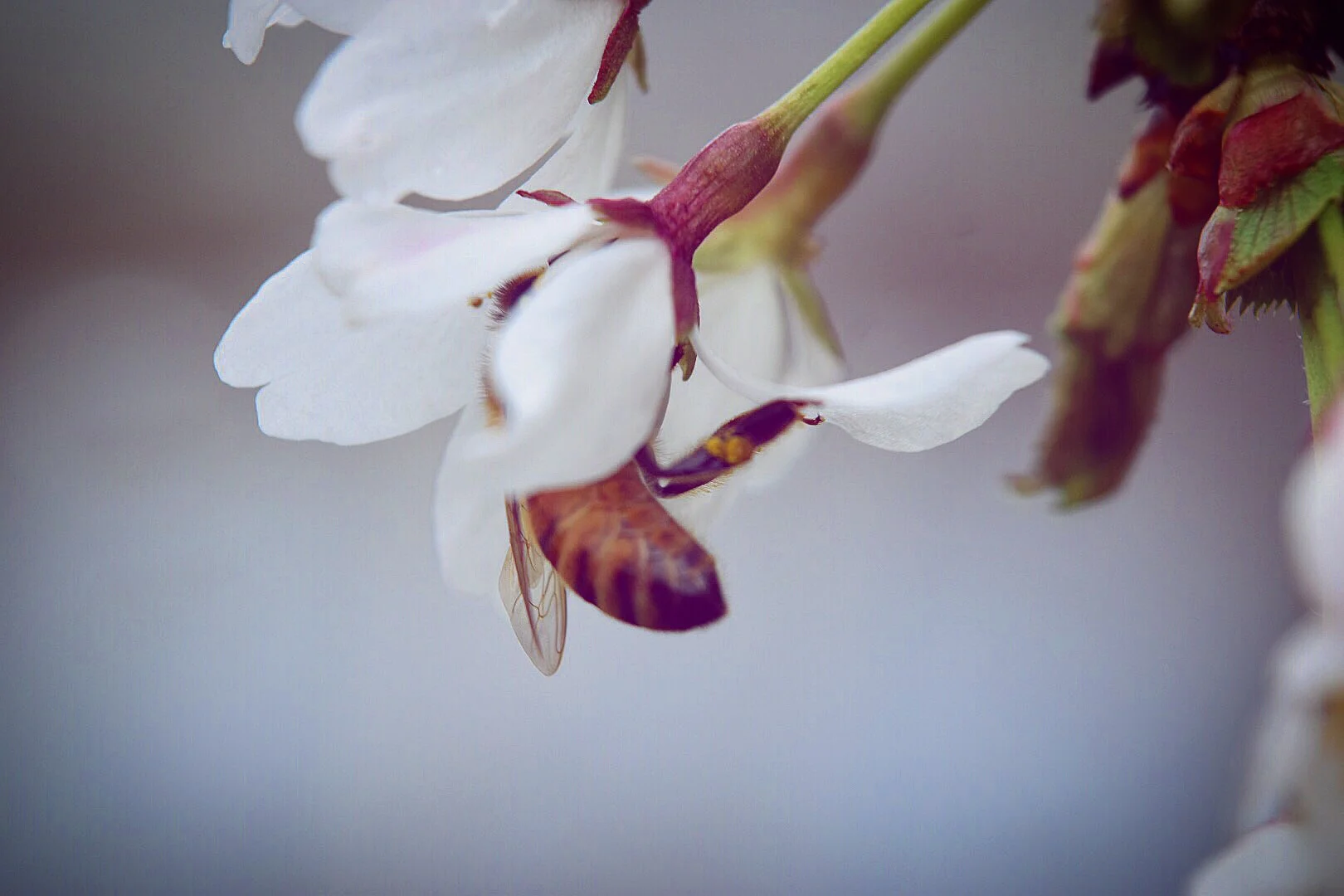 8A9CEE01-940F-41B5-A6E6-EF3B66893E10.jpeg