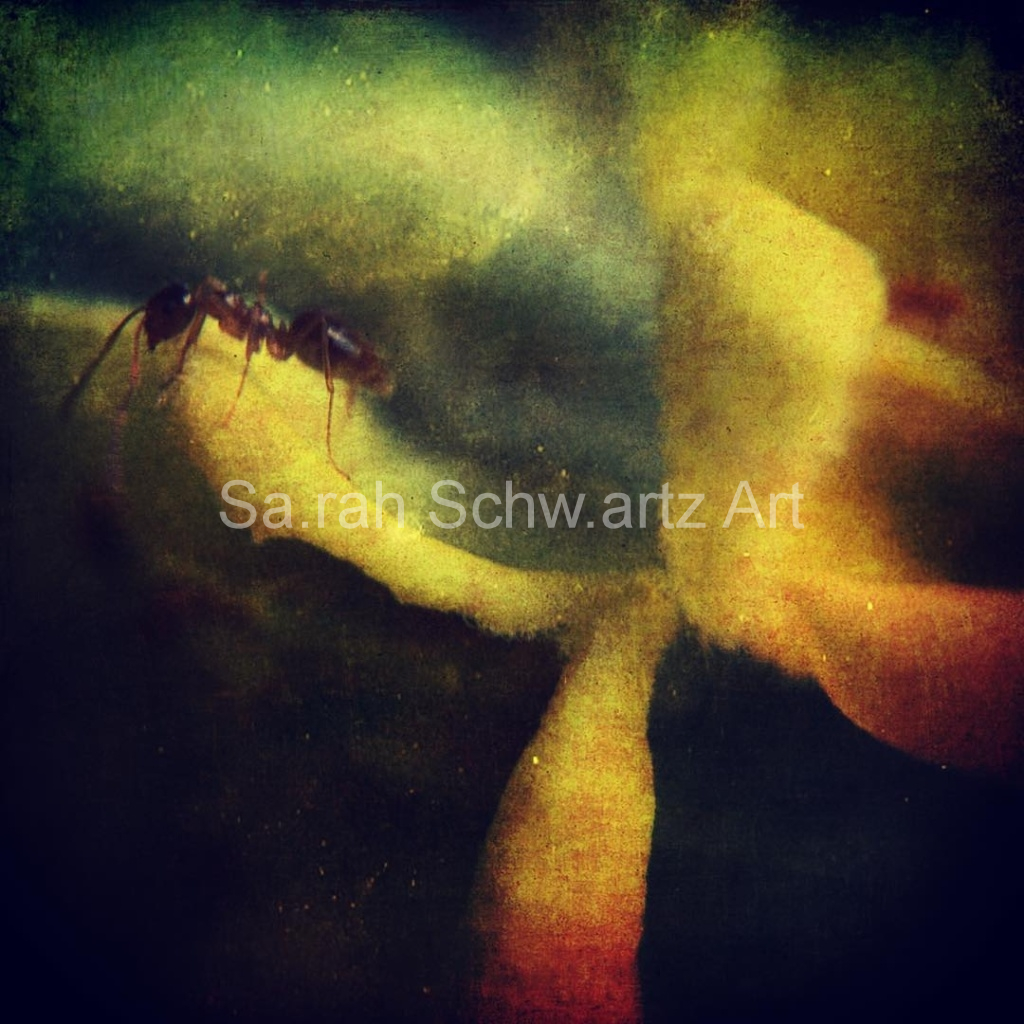 image_original_37d49eaa3edca2acde69fbcbb9b5059b.png
