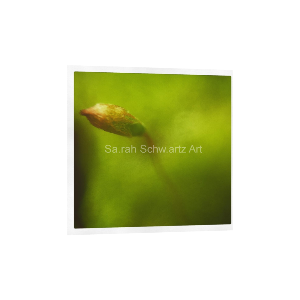 ptq_34_0_0_0_1080_1080_0_false_ffffff_0_0_37d49eaa3edca2acde69fbcbb9b5059b.png