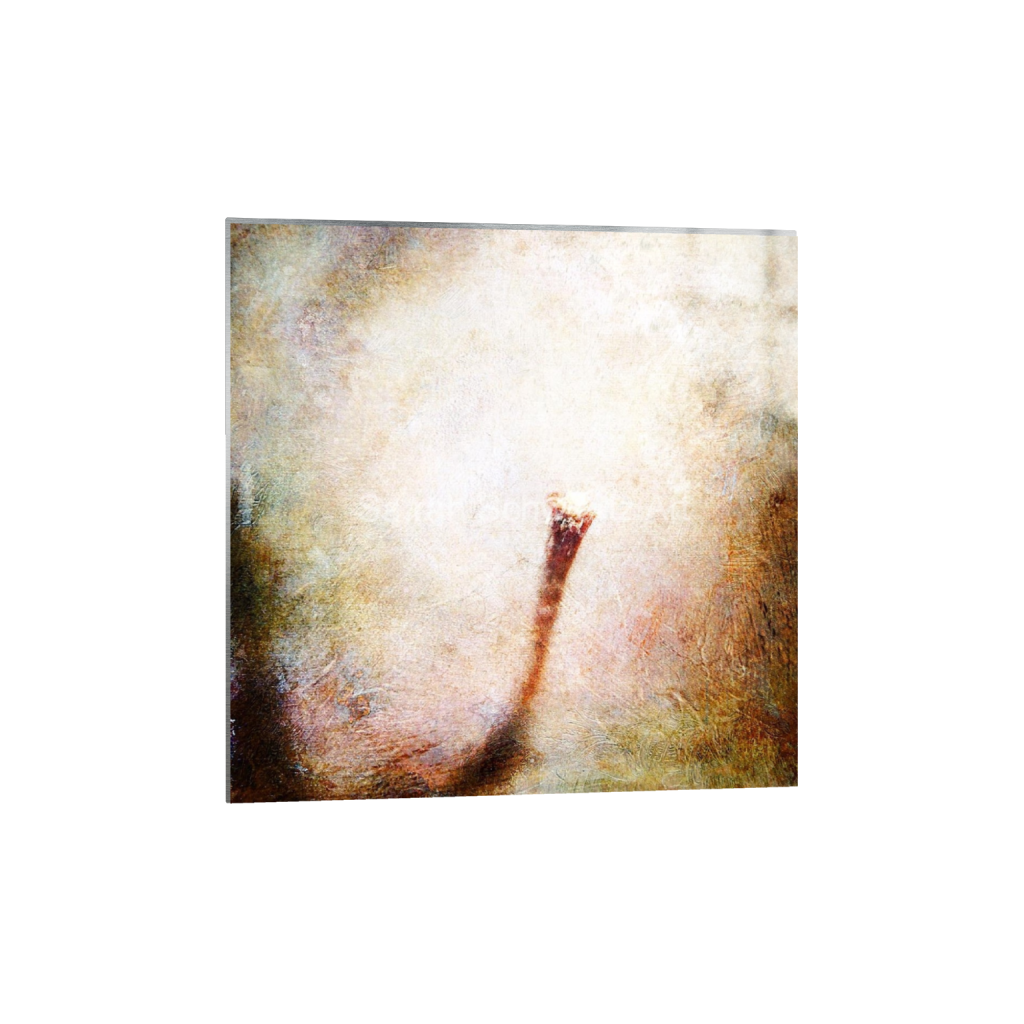 ptq_13_0_0_0_1080_1080_0_false_ffffff_0_0_37d49eaa3edca2acde69fbcbb9b5059b.png