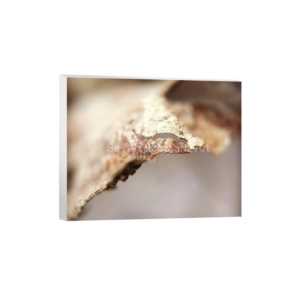 ptq_7_6_0_108_1080_864_0_false_ffffff_0_0_37d49eaa3edca2acde69fbcbb9b5059b.png