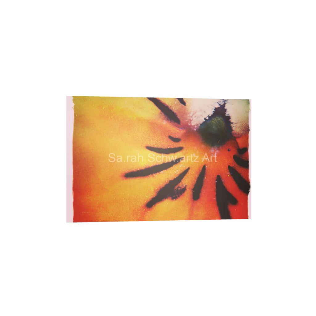 ptq_1_3_0_180_1080_720_0_false_ffffff_0_0_37d49eaa3edca2acde69fbcbb9b5059b.png