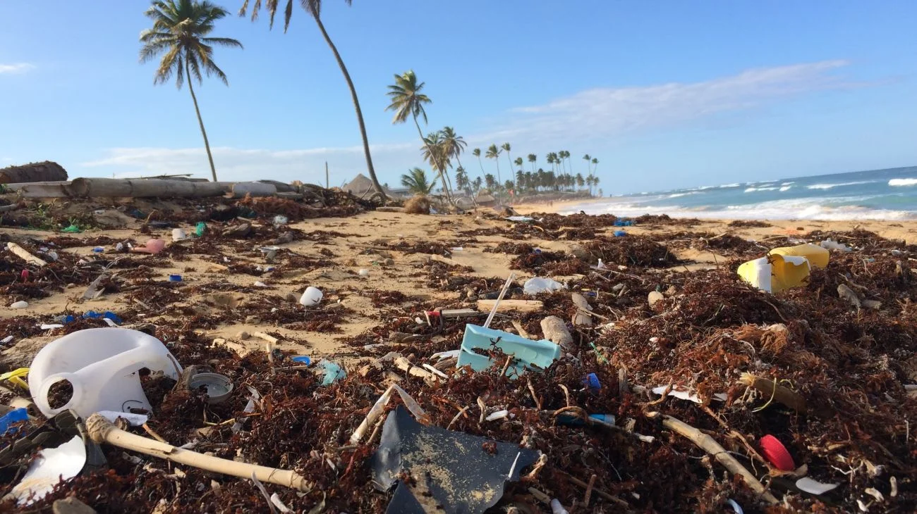 What we know and what we don't know about Plastic Polution in the Ocean