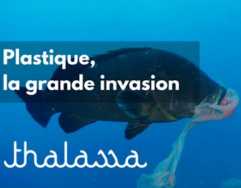 REPORTAGE THALASSA, "PLASTIQUE, LA GRANDE INVASION"