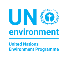 United Nations Environment Programme - Report research marine plastic &amp; microplastic