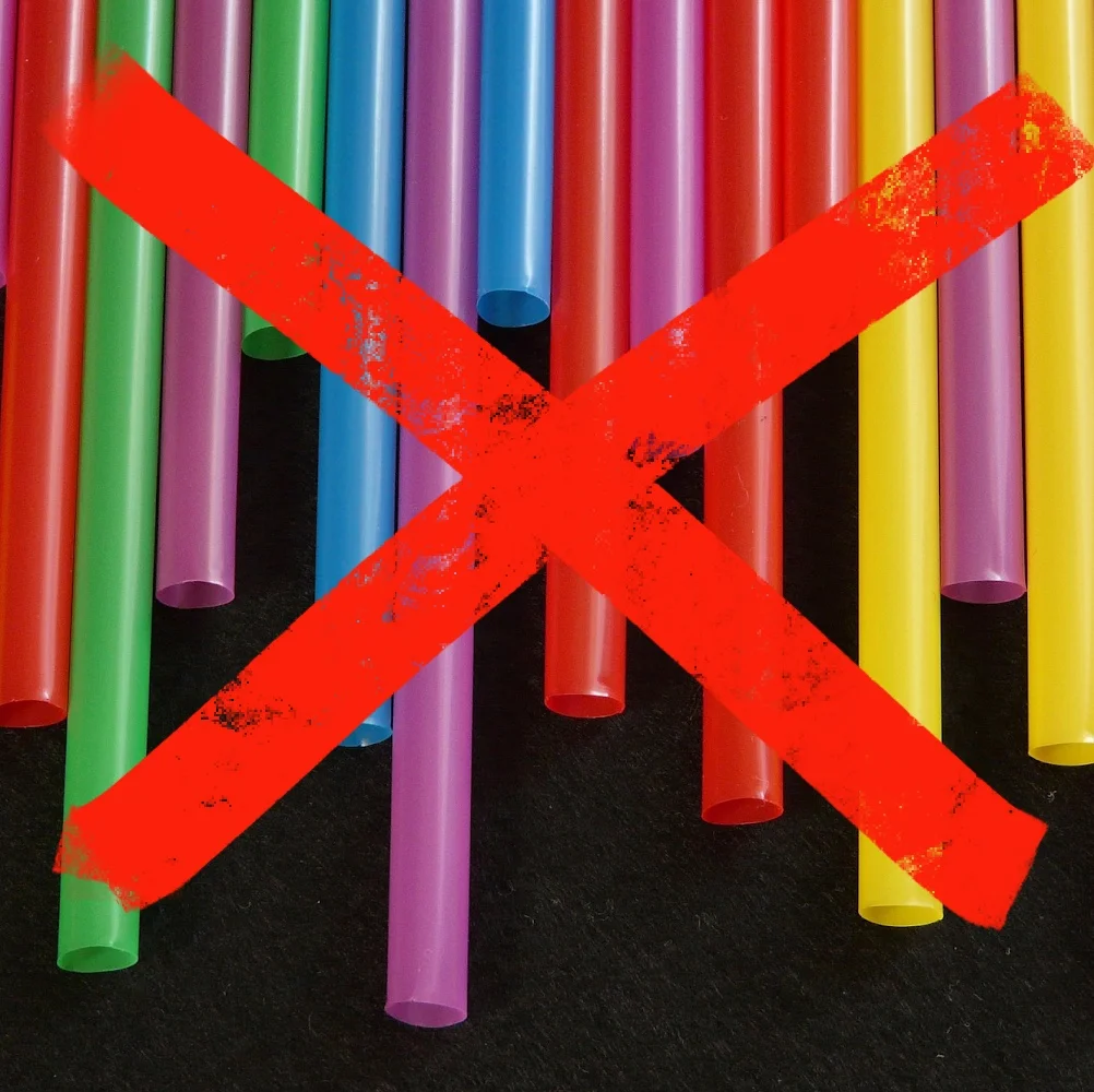 EU lawmakers say "stop" to throw-away plastics