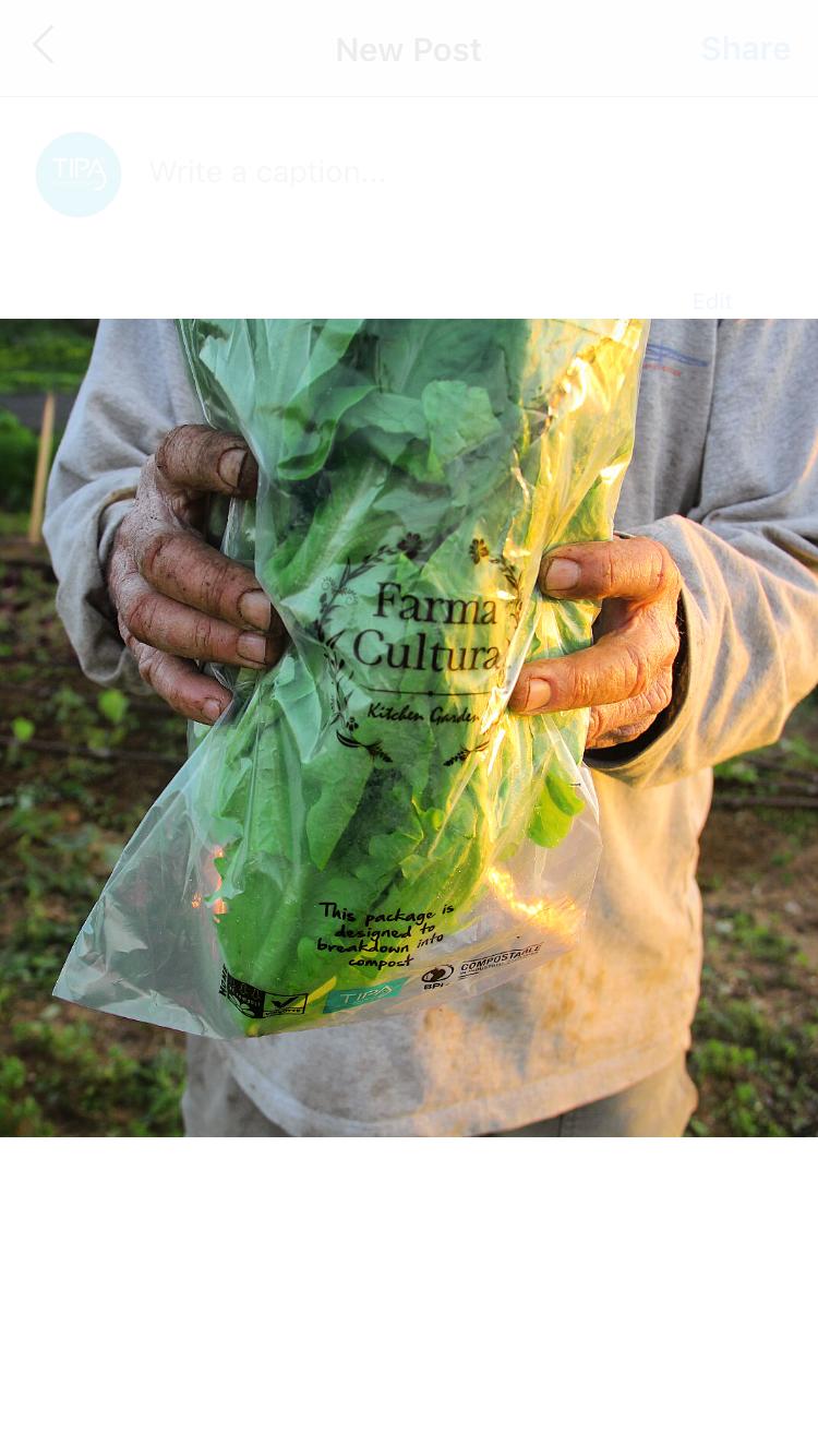 Produce - Farma Cultura.jpeg