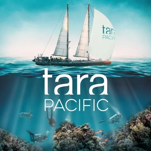Vidéo : invasion de déchets plastiques sur l'atoll de Clipperton dans l'Océan Pacifique, le triste constat de l'expédition Tara Pacific