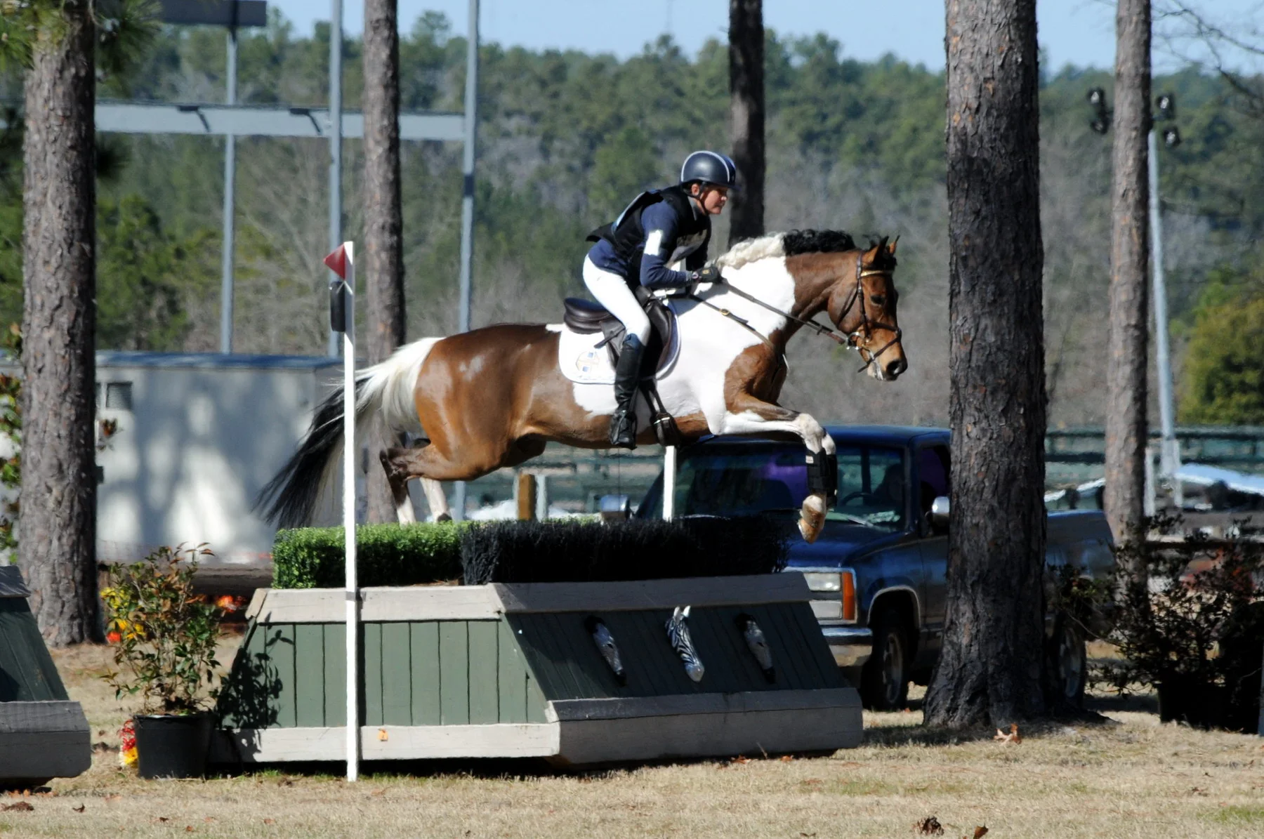 C GFC18--0045399.JPG