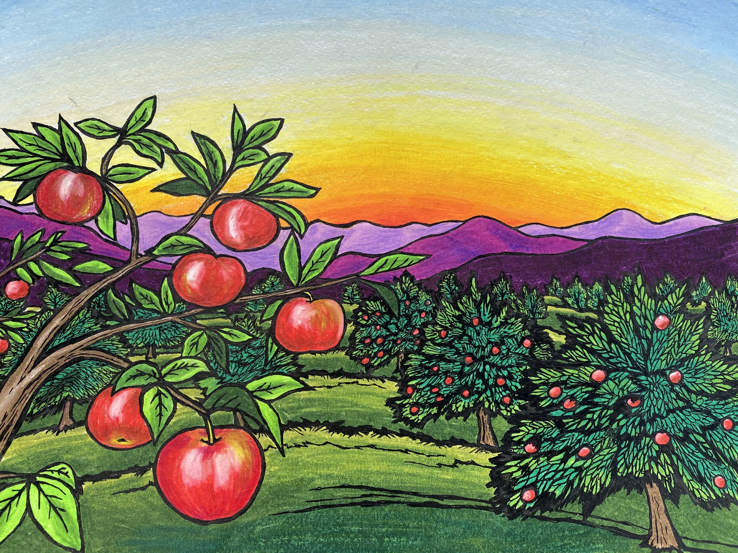 Apple Orcahrd.jpeg
