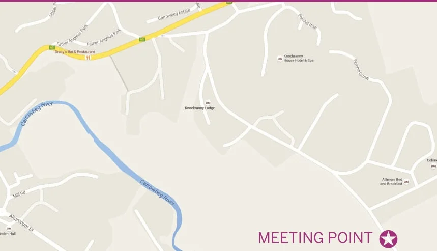 Mushroom foraging meeting point