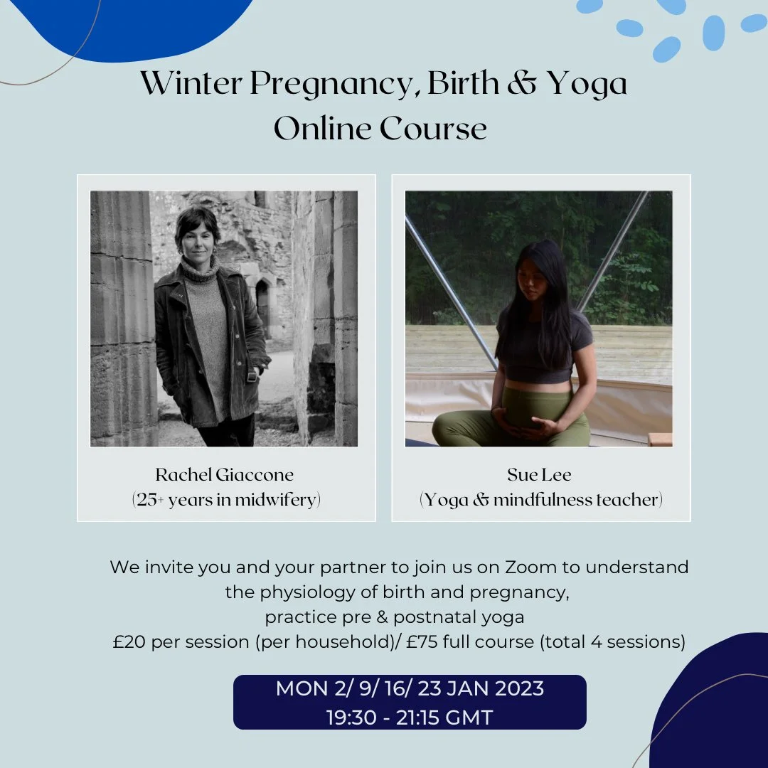 Winter Pregnancy, Birth & Yoga Online Course