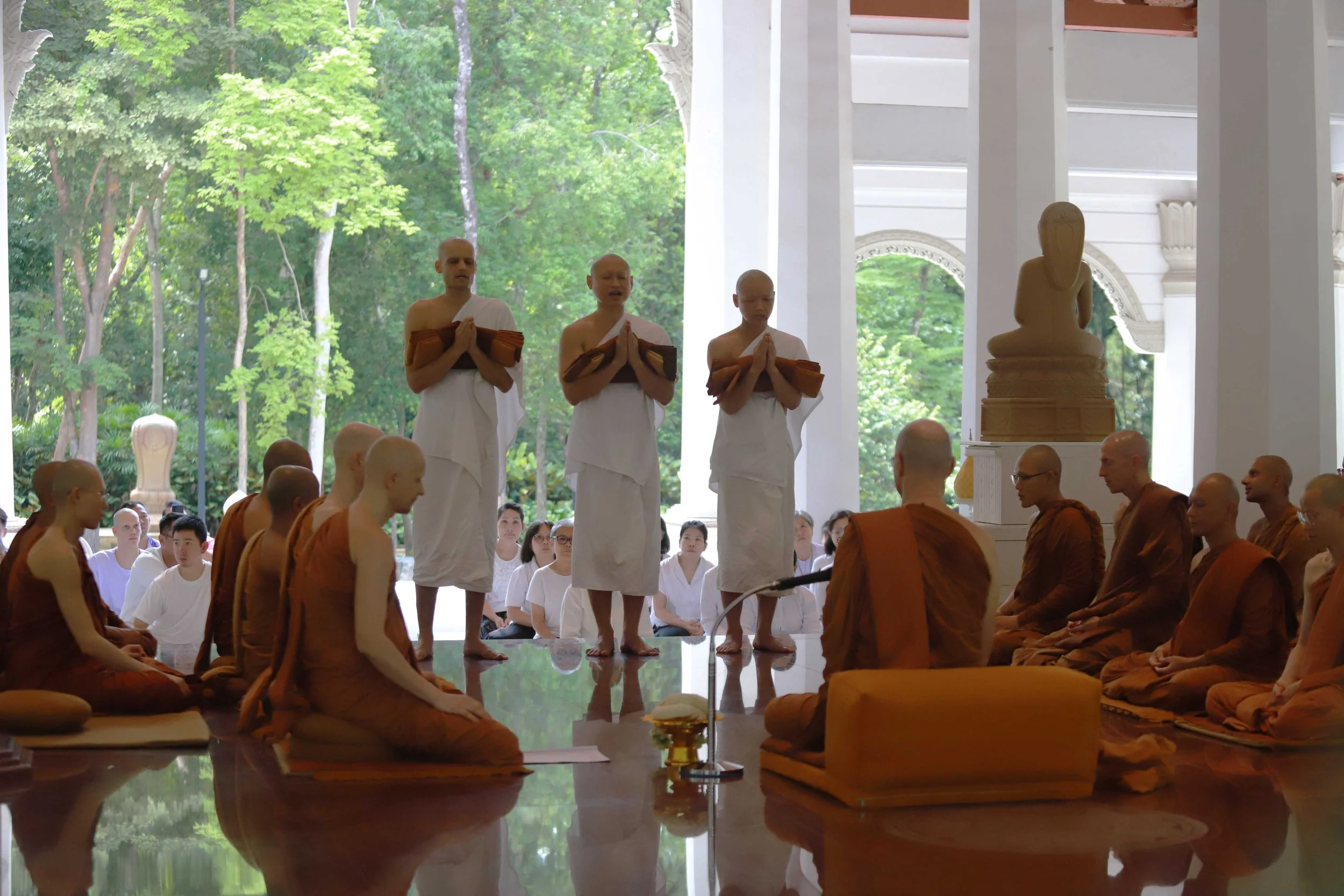 IMG_9141.JPG