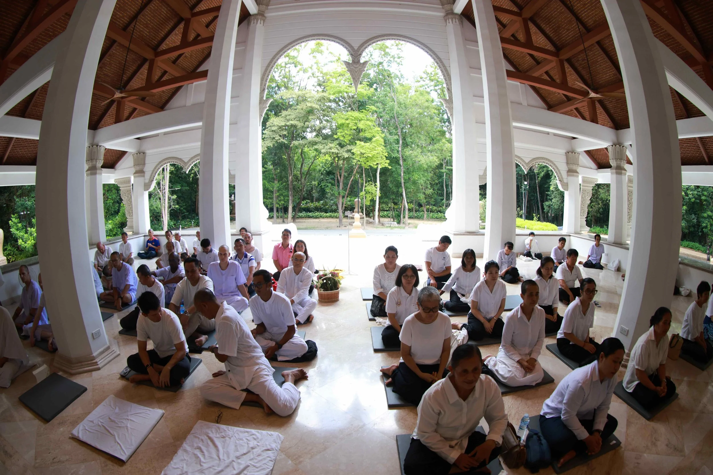 LAE_5930.JPG