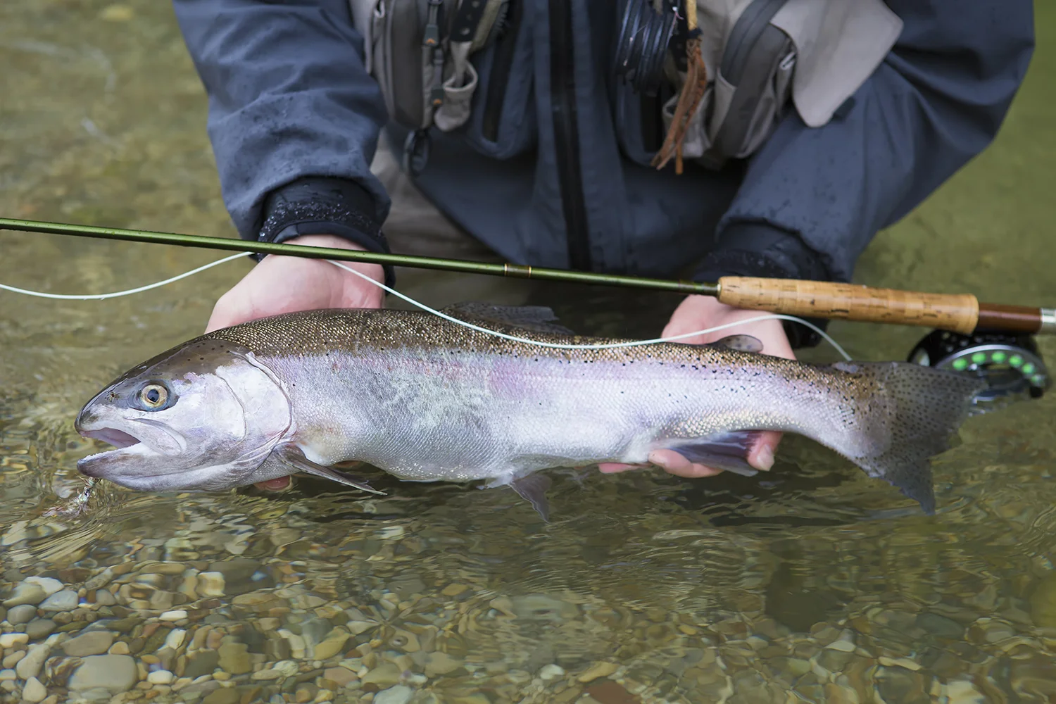 "There is certainly something in angling that tends to produce a serenity of mind."