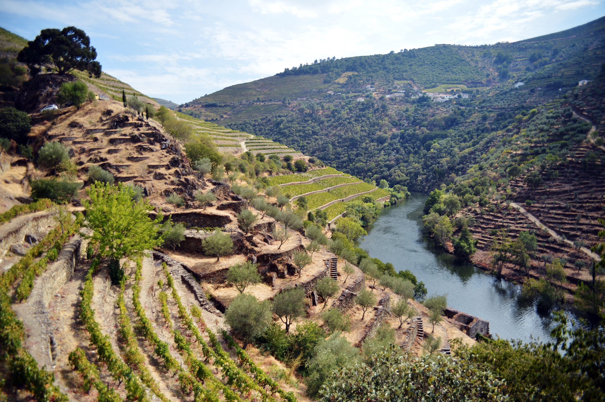 Quinta do Panascal, Fonseca DSC_9466A.jpg