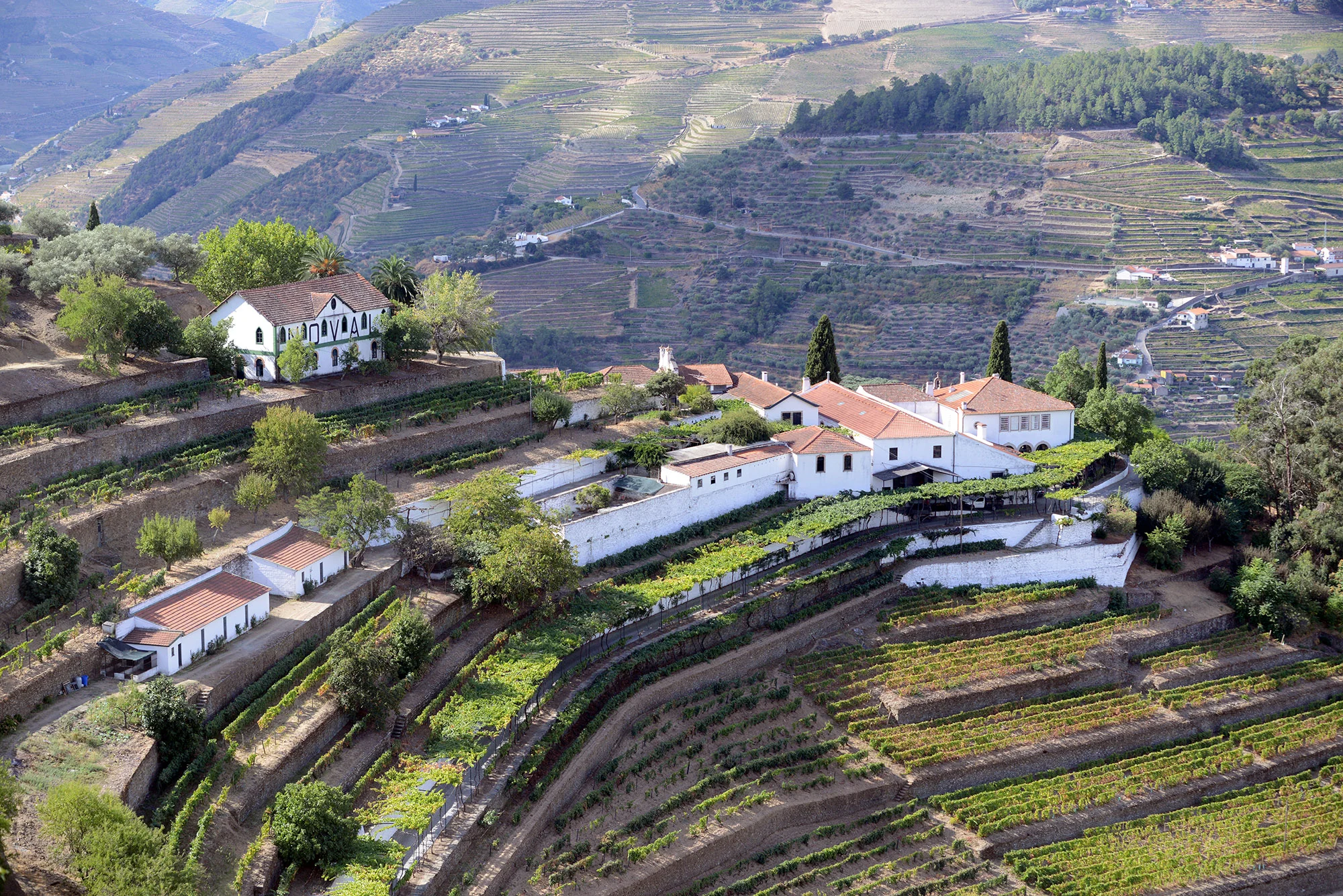 Quinta do Noval DSC_0449A.jpg