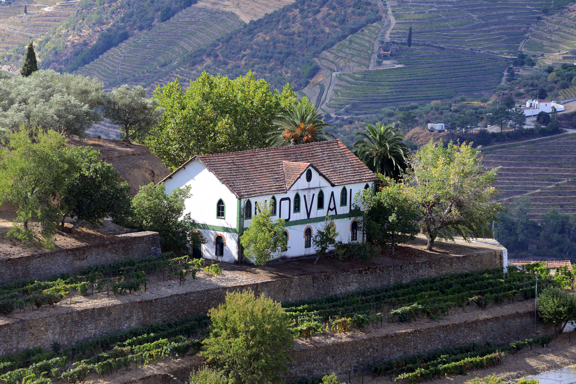 Quinta do Noval  DSC_0452A.jpg