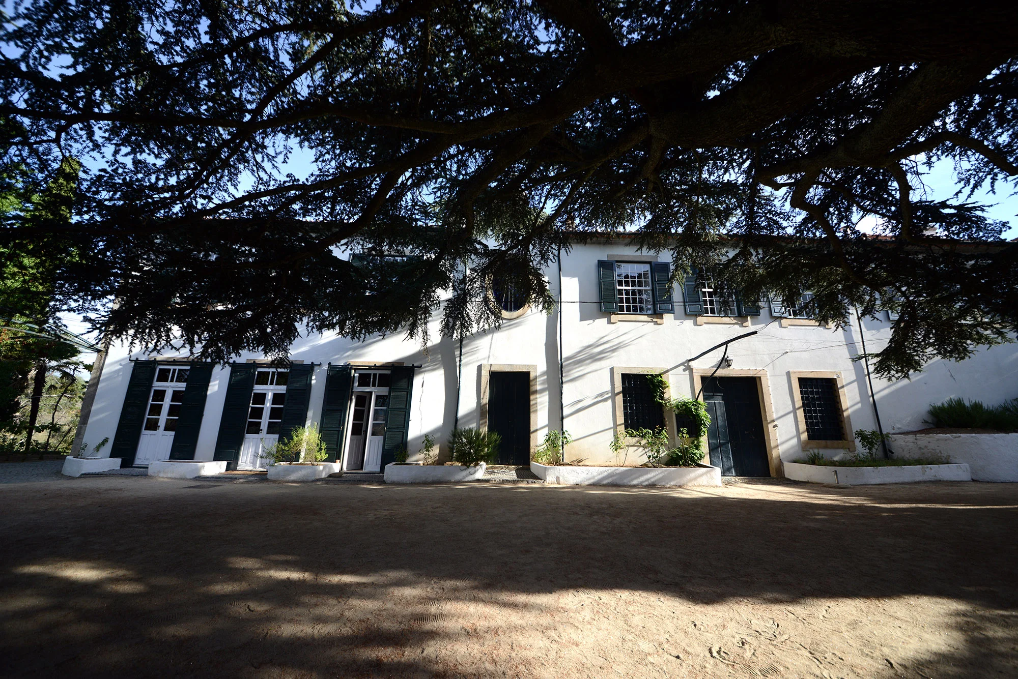 Quinta do Noval DSC_0372A.jpg