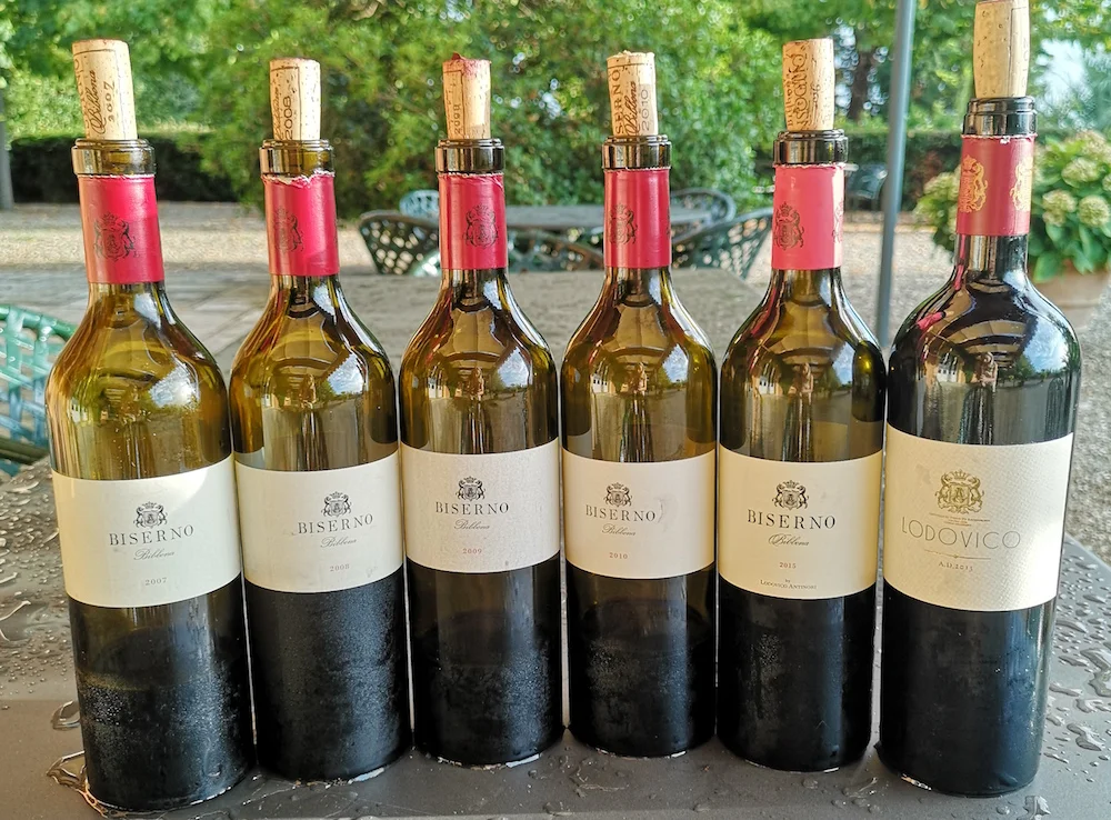 biserno wines helena nicklin the three drinkers.jpg