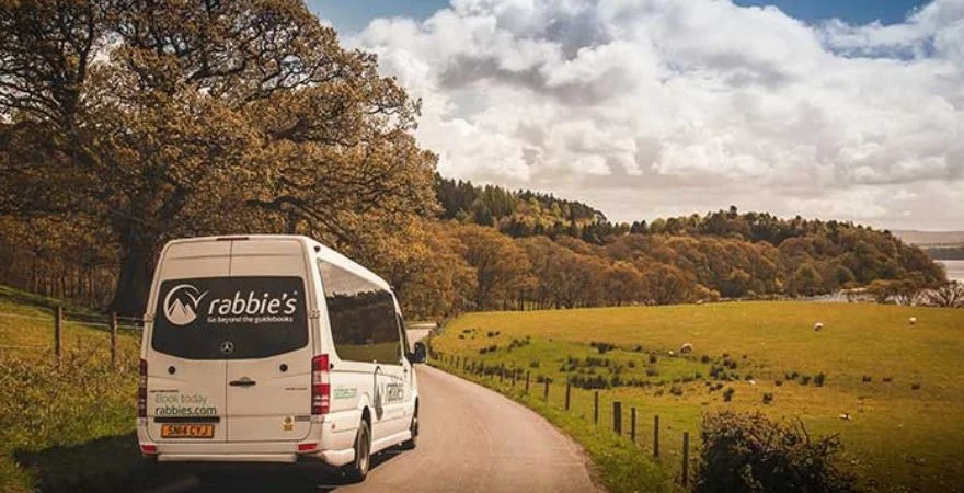 rabbies the three drinkers van .jpg