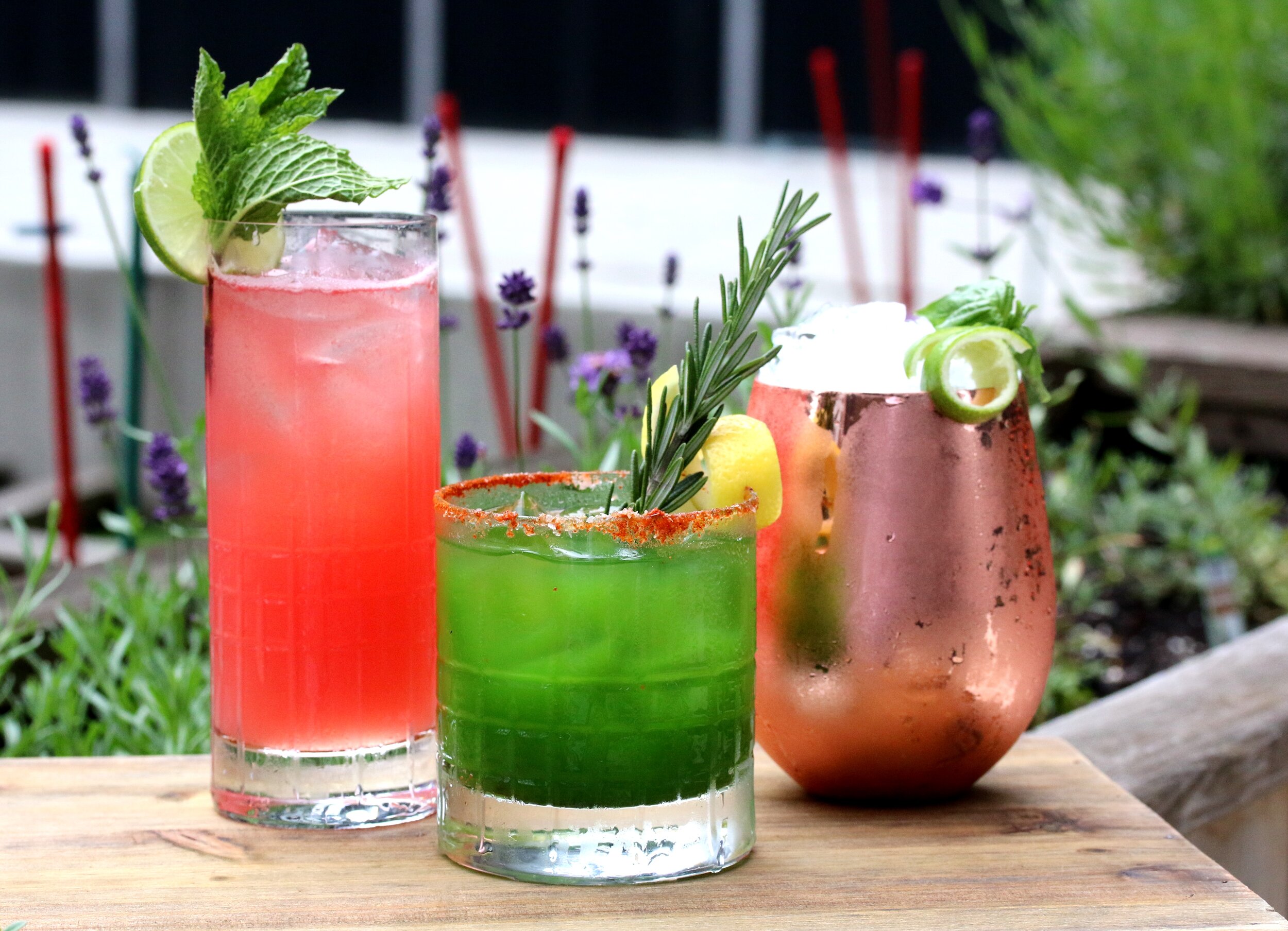 Garden to Glass Cocktails.jpg